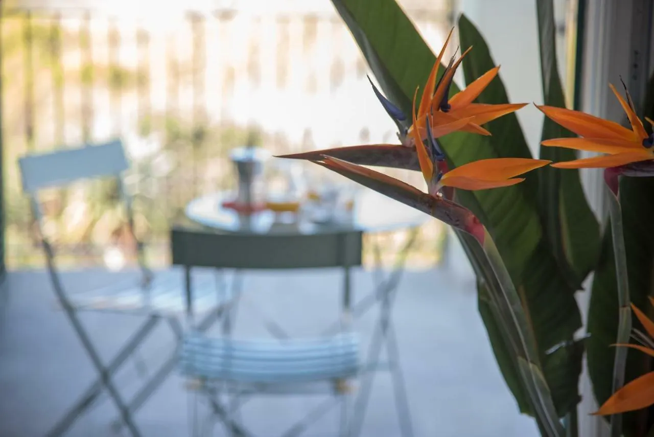La Strelitzia Cervo Mare Apartment
