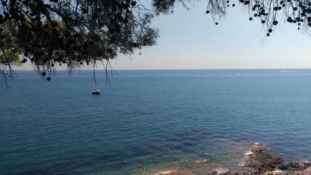 La Strelitzia Cervo Mare Apartment Italy